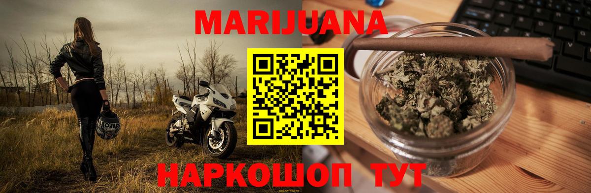 Конопля гибрид Санкт-Петербург